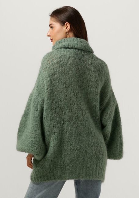 Grüne AMERICAN DREAMS Rollkragenpullover PEPPER ROLL NECK ALPACA PULLOVER - large