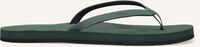 Grüne INDOSOLE Zehentrenner ESSENTIAL FLIP FLOP Grüne INDOSOLE Zehentrenner ESSENTIAL FLIP FLOP - medium
