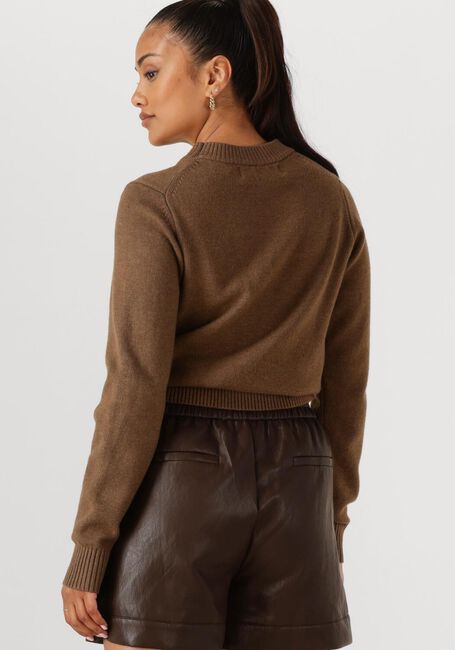 Braune NUKUS Pullover INTARSIA PULLOVER - large