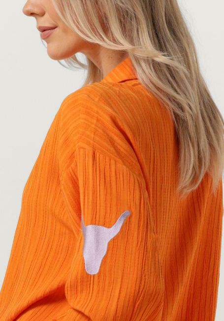 Orangene ALIX THE LABEL Blusen LADIES WOVEN KRINKLE BLOUSE - large