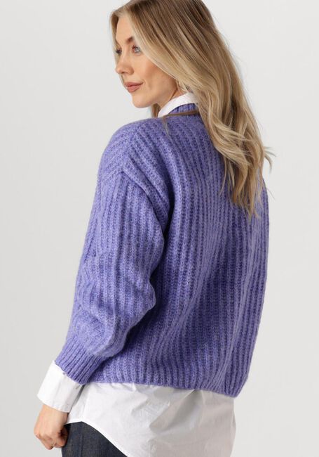 Blaue CIRCLE OF TRUST Pullover JOELLE KNIT - large