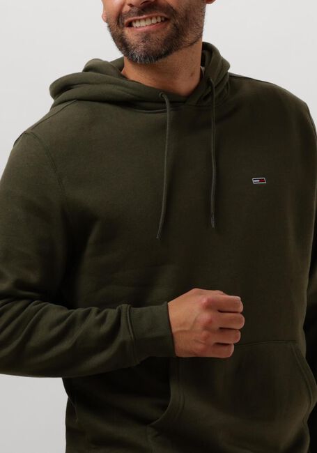 Grüne TOMMY JEANS Pullover & Cardigans TJM REG S FLAG HOODIE - large