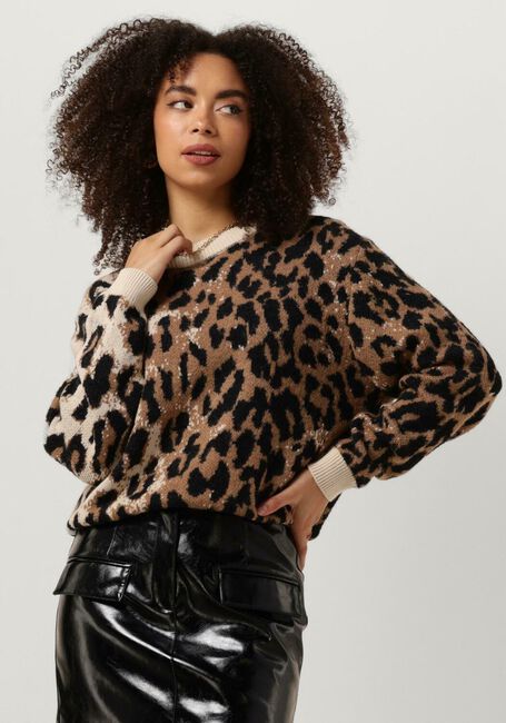 Braune CATWALK JUNKIE Sweatshirt KN DOVER - large