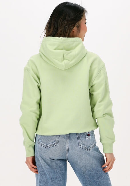 Grüne CALVIN KLEIN Sweatshirt STACKED LOGO HOODIE - large