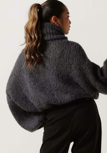 Graue AMERICAN DREAMS Rollkragenpullover PEPPER ROLL NECK CROPPED - large