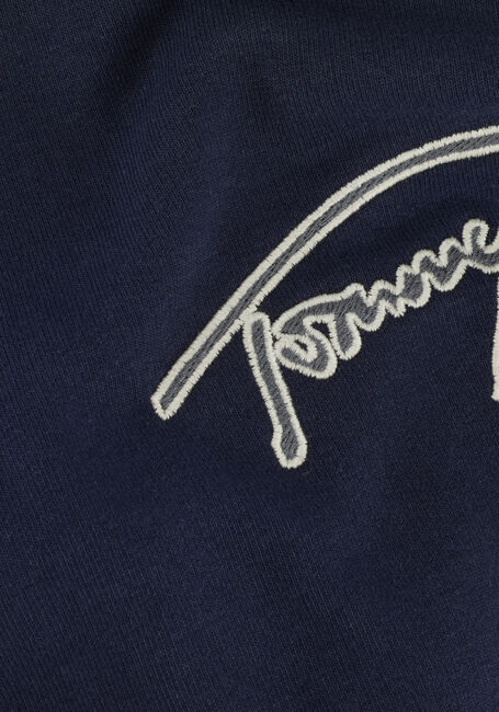 Dunkelblau TOMMY JEANS Pullover TJM REG SIGNATURE HALF ZIP - large