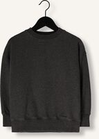 Dunkelgrau JENEST Pullover BIRD N1 SWEATER Dunkelgrau JENEST Pullover BIRD N1 SWEATER - medium