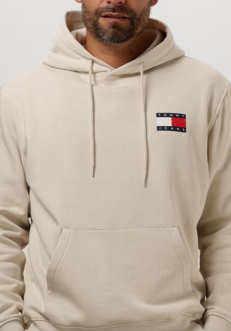 Beige TOMMY JEANS Pullover & Cardigans TJM REG ESSENTIAL FLAG HOOD EXT - large