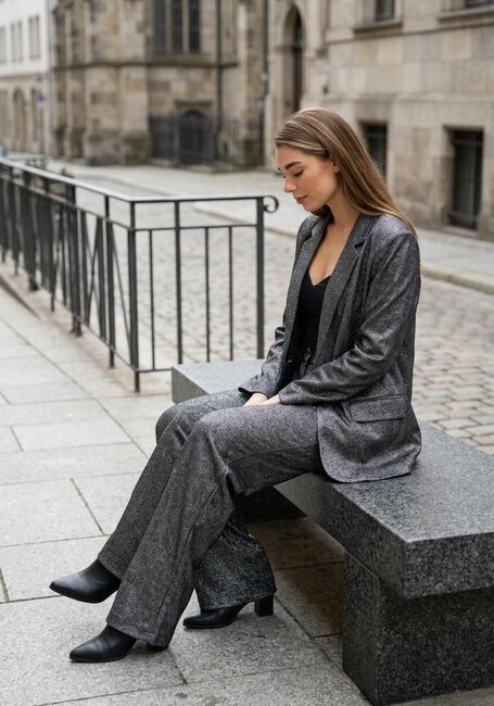 Silberne IBANA Blazer JOLSY - large