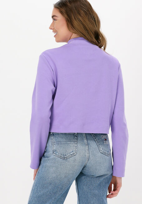 Lilane TOMMY JEANS Pullover TJW RLXD BADGE MOCKNECK - large