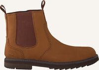 Braune TIMBERLAND Chelsea Boots SQUALL CANYON CHELSEA Braune TIMBERLAND Chelsea Boots SQUALL CANYON CHELSEA - medium