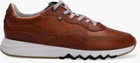 Cognacfarbene FLORIS VAN BOMMEL Sneaker low SFM-10094 - medium