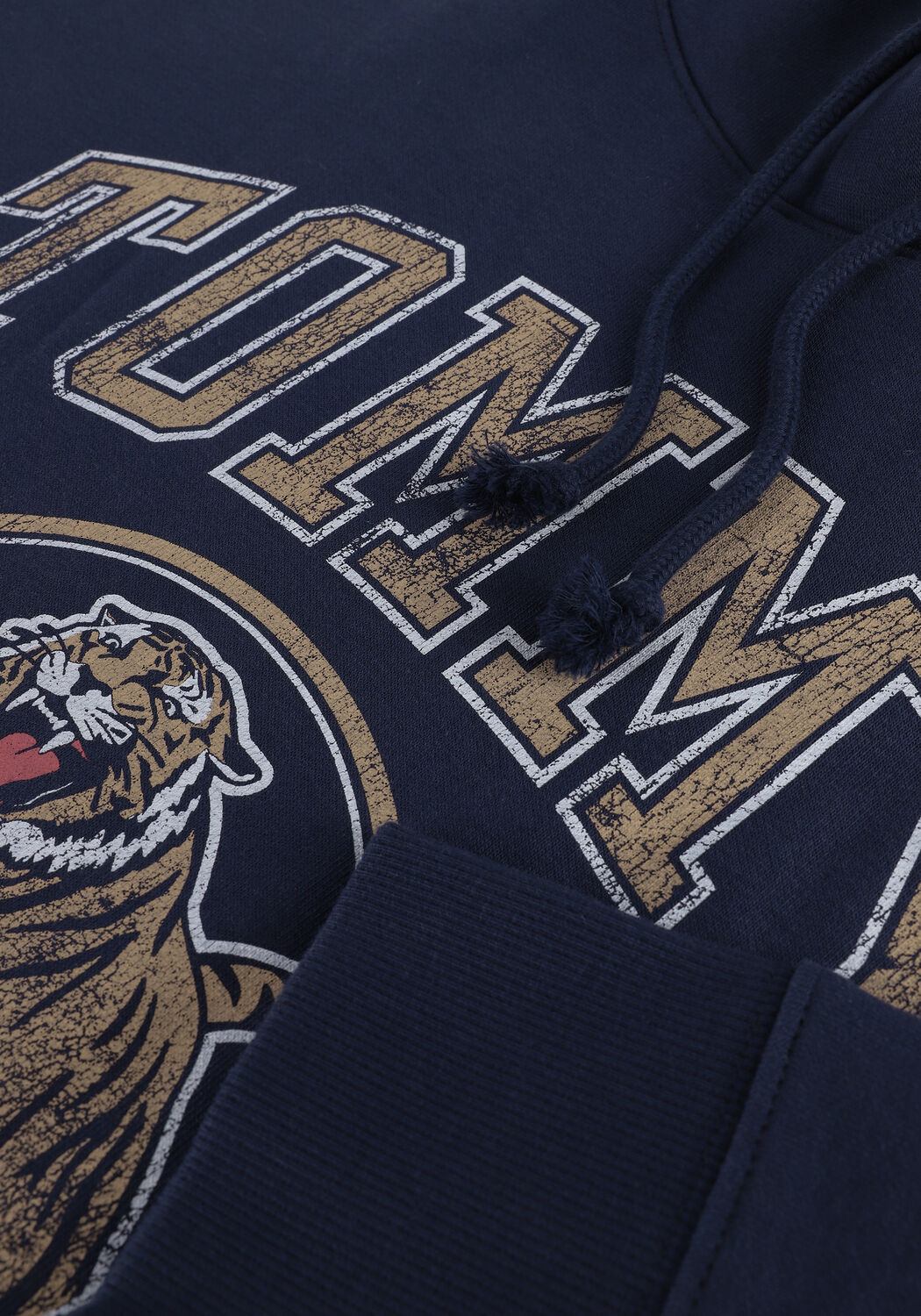 Dunkelblau TOMMY JEANS Pullover TJW RLXD COLLEGE TIGER 1 HOODIE - large