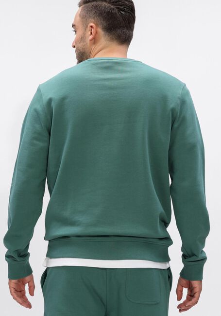 Gr&uuml;ne LYLE & SCOTT Sweatshirt CREW NECK SWEATSHIRT - large