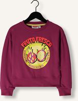 Rosane VINGINO Sweatshirt NOLITA Rosane VINGINO Sweatshirt NOLITA - medium