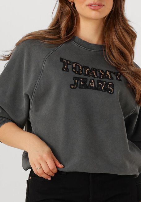 Dunkelgrau TOMMY JEANS Pullover TJW BXY LEOPARD VARSITY CREW - large