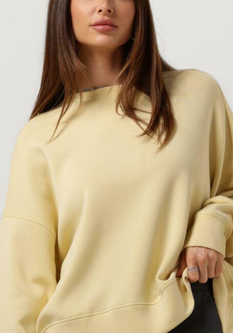 Gelbe MSCH COPENHAGEN Pullover MSCHDALVINA IMA Q SWEATSHIRT - large
