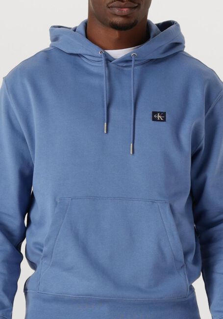 Hellblau CALVIN KLEIN Sweatshirt LS EU BADGE 350 TERRY HOODIE - large