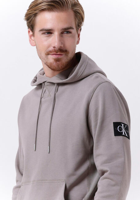 Taupe CALVIN KLEIN Sweatshirt MONOLOGO SLEEVE BADGE HOODIE - large
