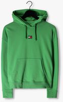 Grüne TOMMY JEANS Pullover TJW XS BADGE HOODIE