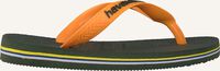 Grüne HAVAIANAS Zehentrenner BRASIL LOGO KIDS Grüne HAVAIANAS Zehentrenner BRASIL LOGO KIDS - medium
