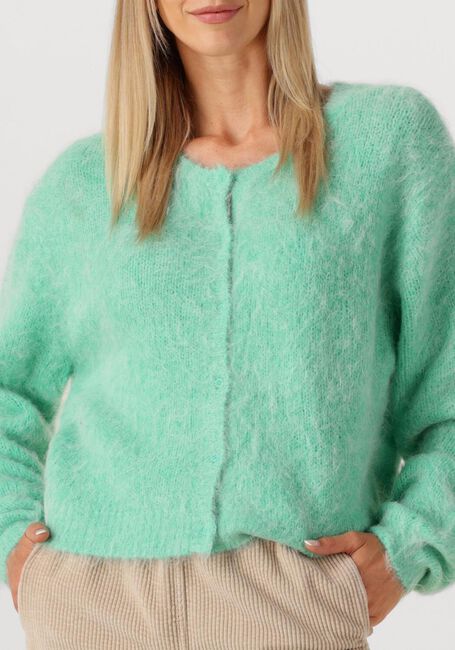 Minze AMERICAN VINTAGE Strickjacke NIBY - large