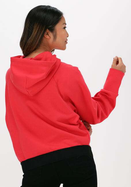 Rote NATIONAL GEOGRAPHIC Sweatshirt CROPPED HOODY - large