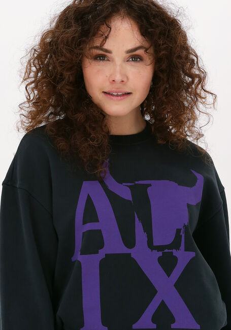 Schwarze ALIX THE LABEL Pullover ALIX BULL SWEATER - large