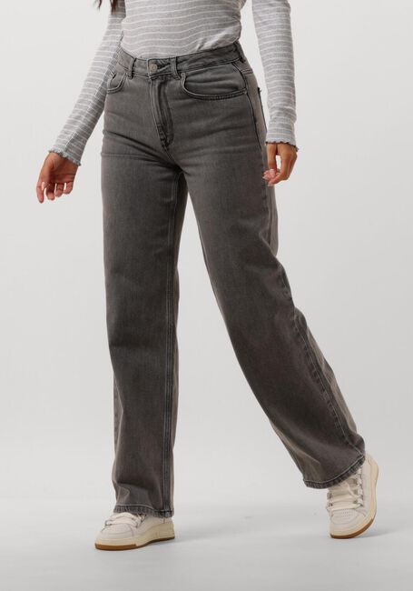 Hellgrau SELECTED FEMME Wide jeans SLFALICE HW WID LONG ELOISE GRE JEA - large