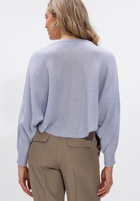 Blaue DANTE6 Sweatshirt MONTRE MONOGRAM SWEATER - large