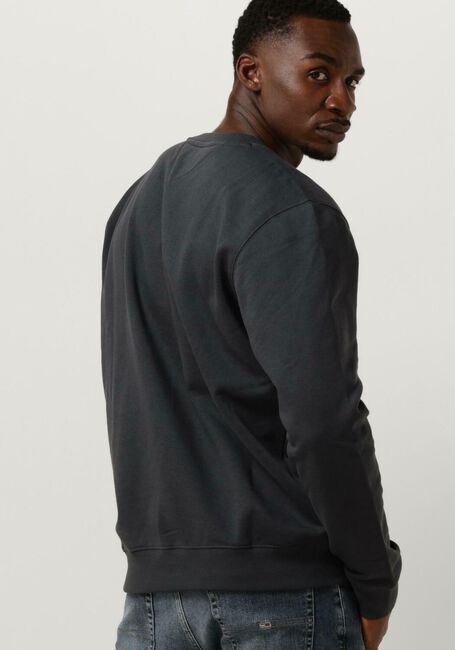 Dunkelgrau TOMMY JEANS Sweatshirt TJM REGULAR FLEECE C NECK - large