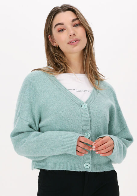Grüne PENN & INK Strickjacke CARDIGAN - large