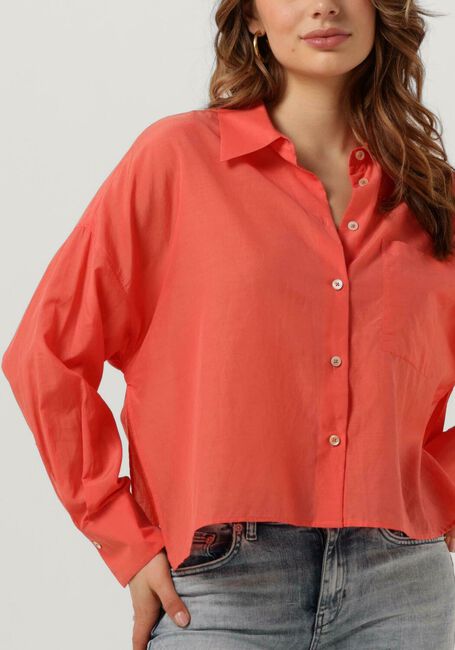 Orangene DRYKORN Blusen NAMIDA - large