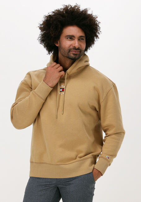 Khaki TOMMY JEANS Sweatshirt TJM TINY TOMMY CIRCULAR HOODIE - large
