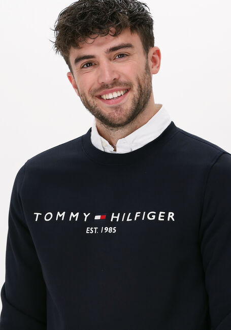 Dunkelblau TOMMY HILFIGER Sweatshirt TOMMY LOGO SWEATSHIRT - large