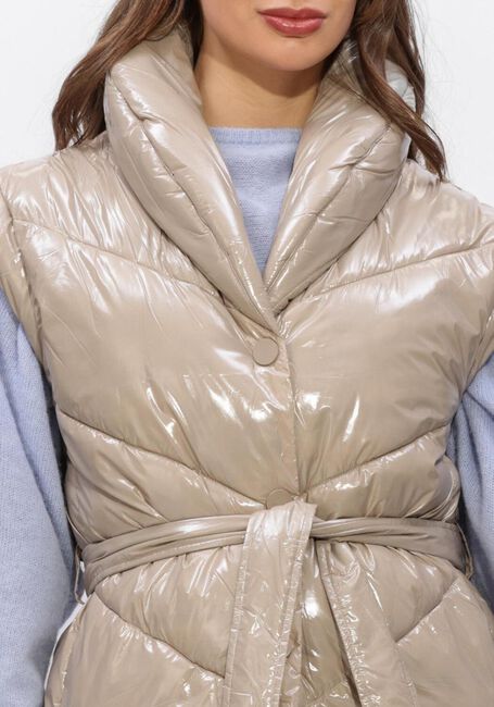 Taupe DANTE6 Bodywarmer LEVIT WAISTCOAT - large