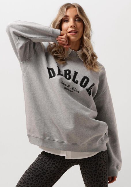 Graue DEBLON SPORTS Sweatshirt PUCK SWEATER - large