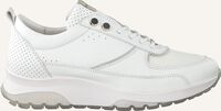 Weiße NUBIKK Sneaker Low ELLIS NEZHA Weiße NUBIKK Sneaker Low ELLIS NEZHA - medium
