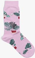 Lilane ALFREDO GONZALES Socken PLANTS IN POTS - medium