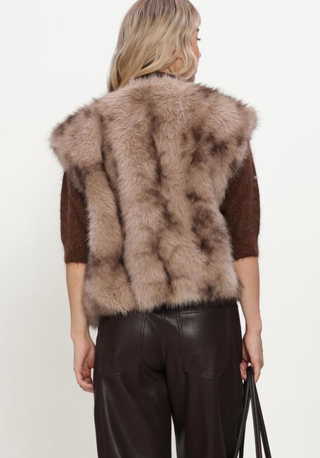 Braune BEAUMONT Gilet LUCINDA GILET - large
