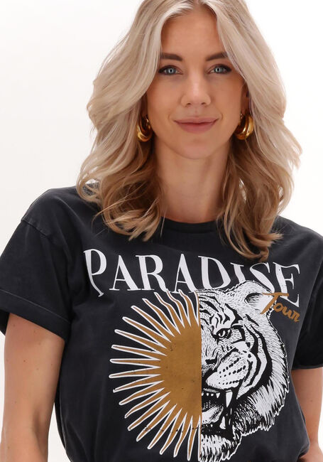 Dunkelgrau COLOURFUL REBEL T-shirt PARADISE TIGER ACID WASH BOXY TEE - large