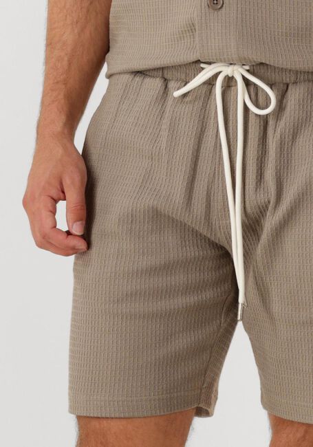 Beige DRYKORN Kurze Hose BRIKKO 522160 - large