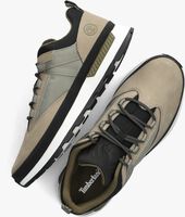 Taupe TIMBERLAND Sneaker low EURO TREKKER LOW - medium