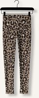 Braune DEBLON SPORTS Legging CLASSIC LEGGINGS HIGH WAISTBAND Braune DEBLON SPORTS Legging CLASSIC LEGGINGS HIGH WAISTBAND - medium