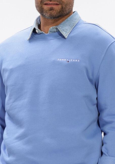 Hellblau TOMMY JEANS Sweatshirt TJM REG BADGE HOODIE EXT - large