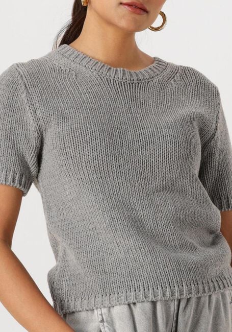 Graue WITHBLACK Tops & T-shirts WBLELINORE SS KNIT TEE - large