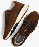 Cognacfarbene FLORIS VAN BOMMEL Sneaker low SFM-10135 - medium