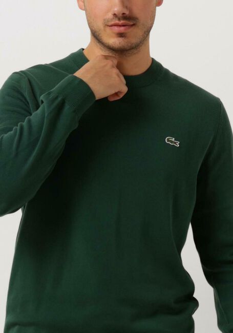 Dunkelgrün LACOSTE Pullover 1HA1 MEN SWEATER - large