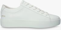 Weiße BLACKSTONE Sneaker low MAYNARD - medium