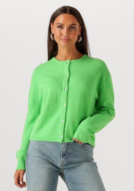 Grüne CIRCLE OF TRUST Strickjacke BODI CARDIGAN - large